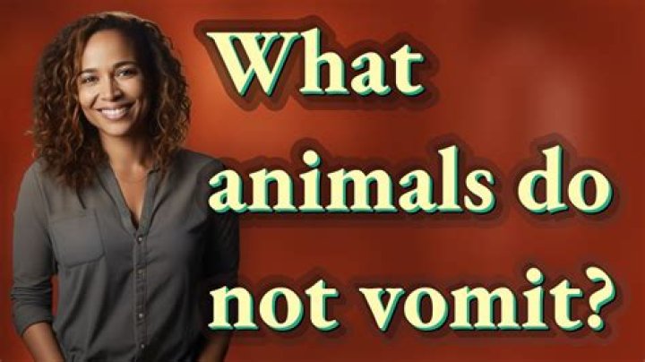What animals cannot vomit